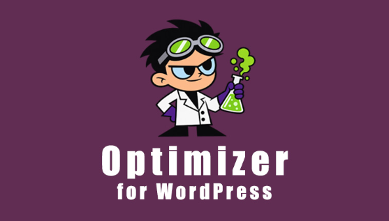 WordPress Optimizer